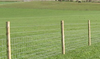 Stock Fencing in Kent